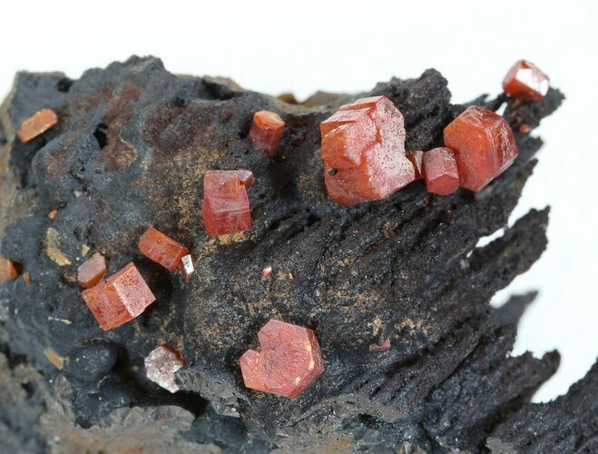 Red Vanadinite Crystals on Manganese Oxide - Morocco #38505